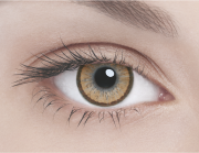 Адриа линзы контактные цветные Элегант коричневый /8,6/0,0D 2шт.
